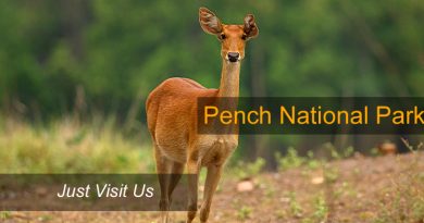 pench wildlife scantuary